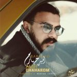 دانلود آهنگ جدید امیر چهارم به نام برگرد